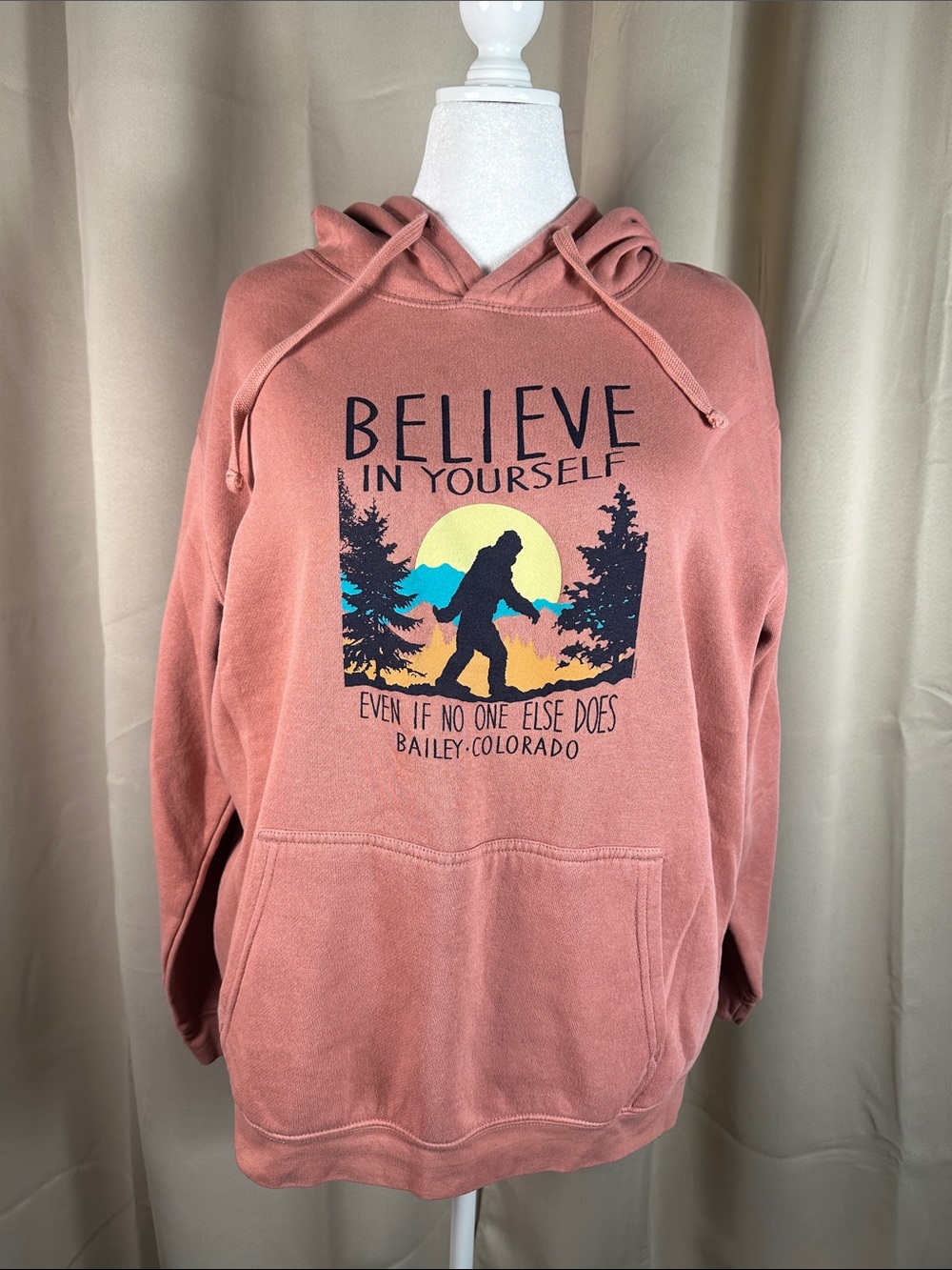 Believe In Yourself Graphic Hoodie Sweatshirt - Dusty Rose